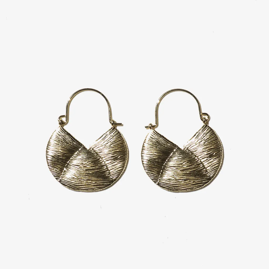 Elegant earrings